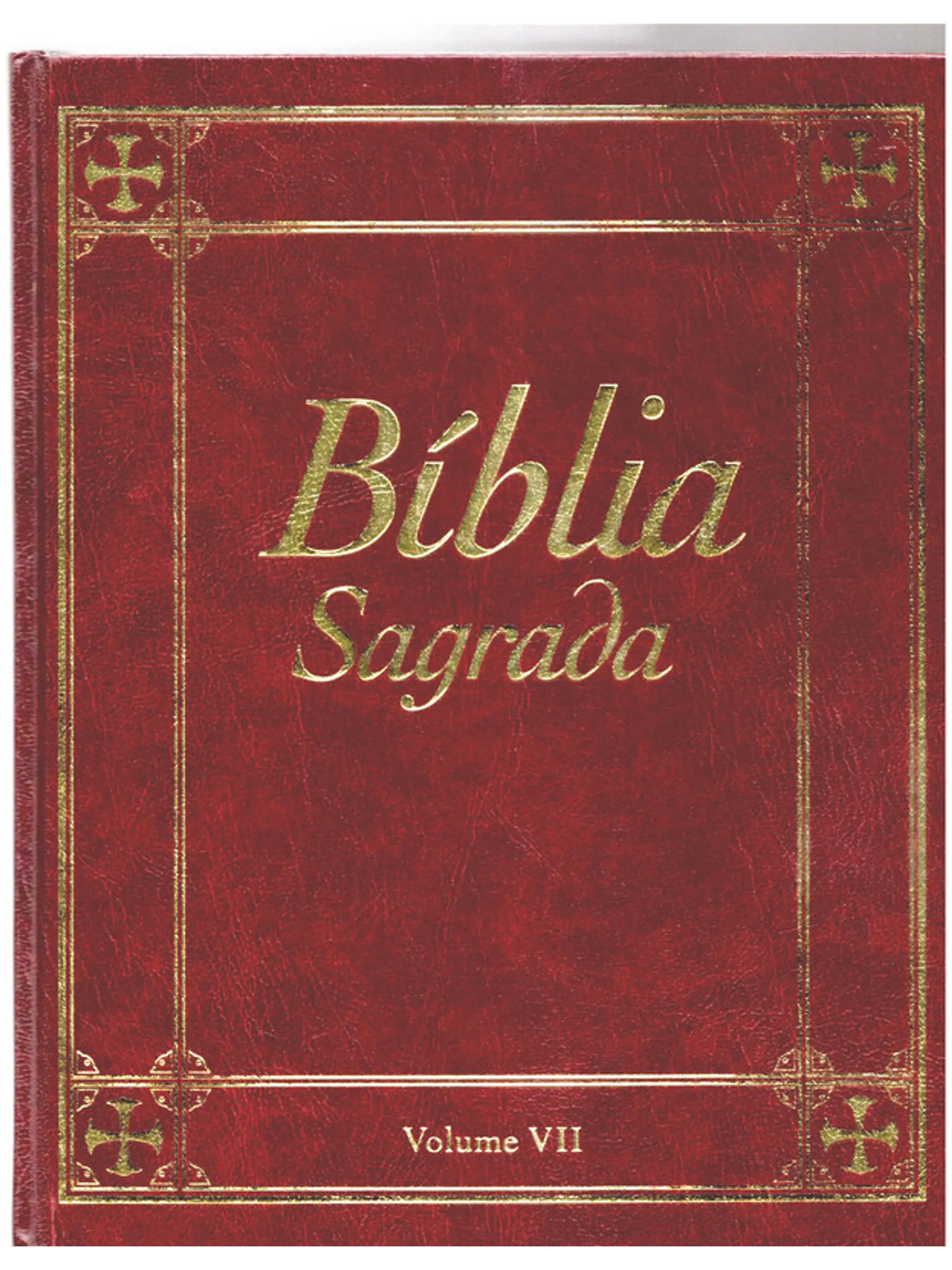Bíblia sagrada Volume 7 1