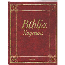 Bíblia sagrada Volume 7