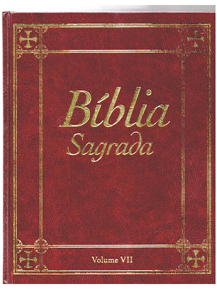 Bíblia sagrada Volume 7