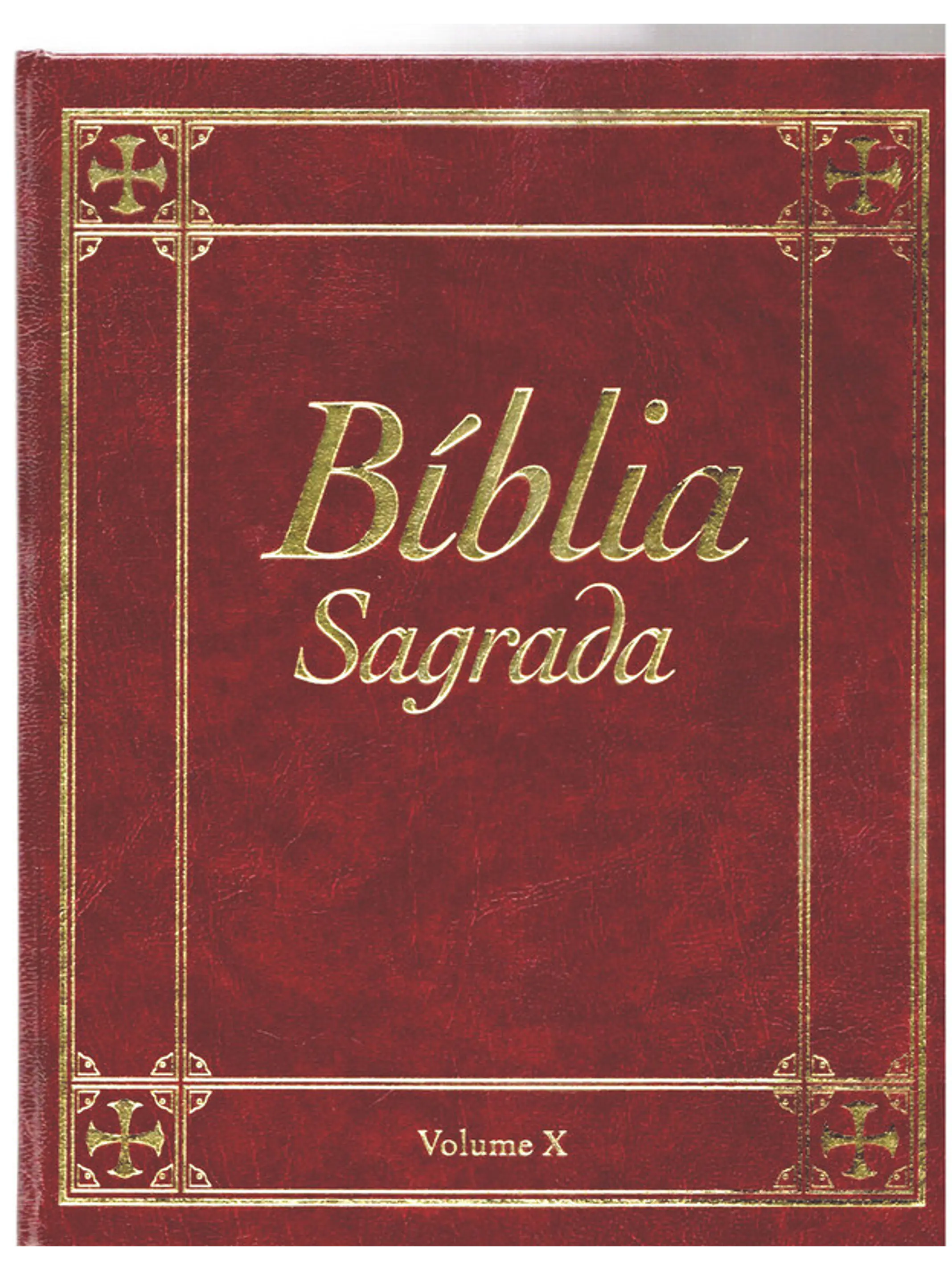 Bíblia sagrada Volume 10 1