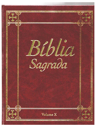 Bíblia sagrada Volume 10