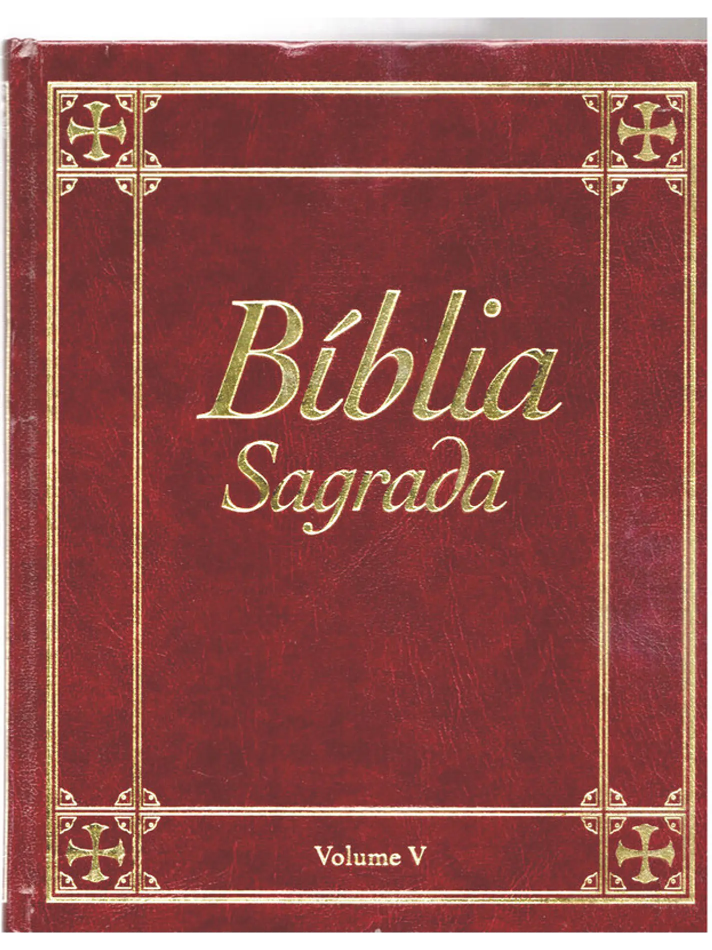 Bíblia sagrada Volume 5 1