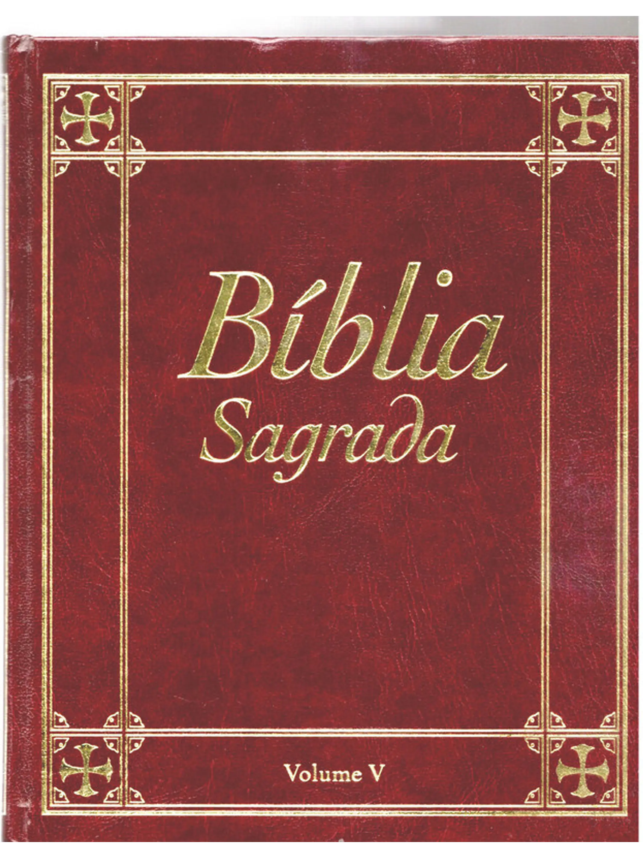 Bíblia sagrada Volume 5 1