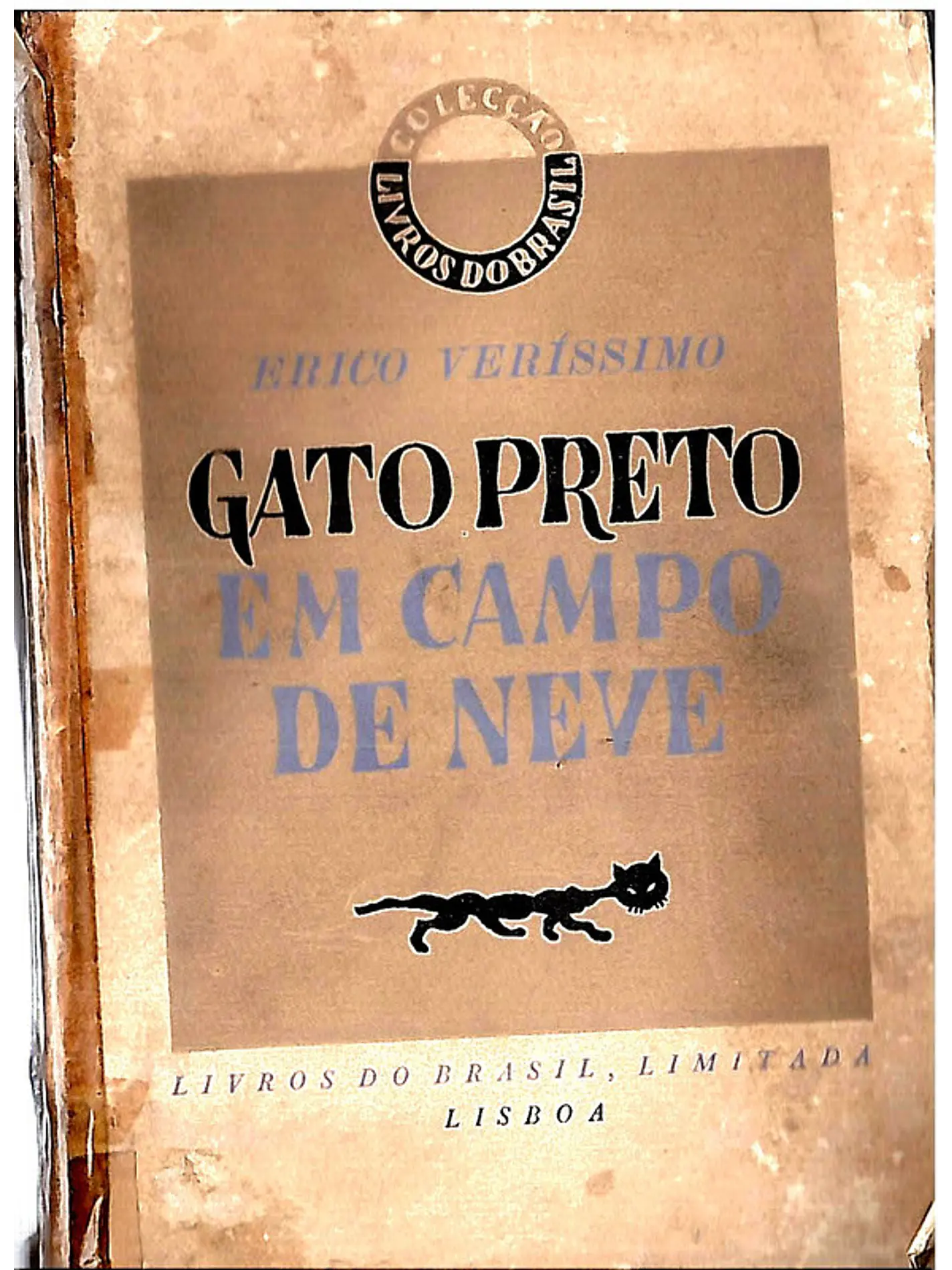 Gato preto em campo de neve 1