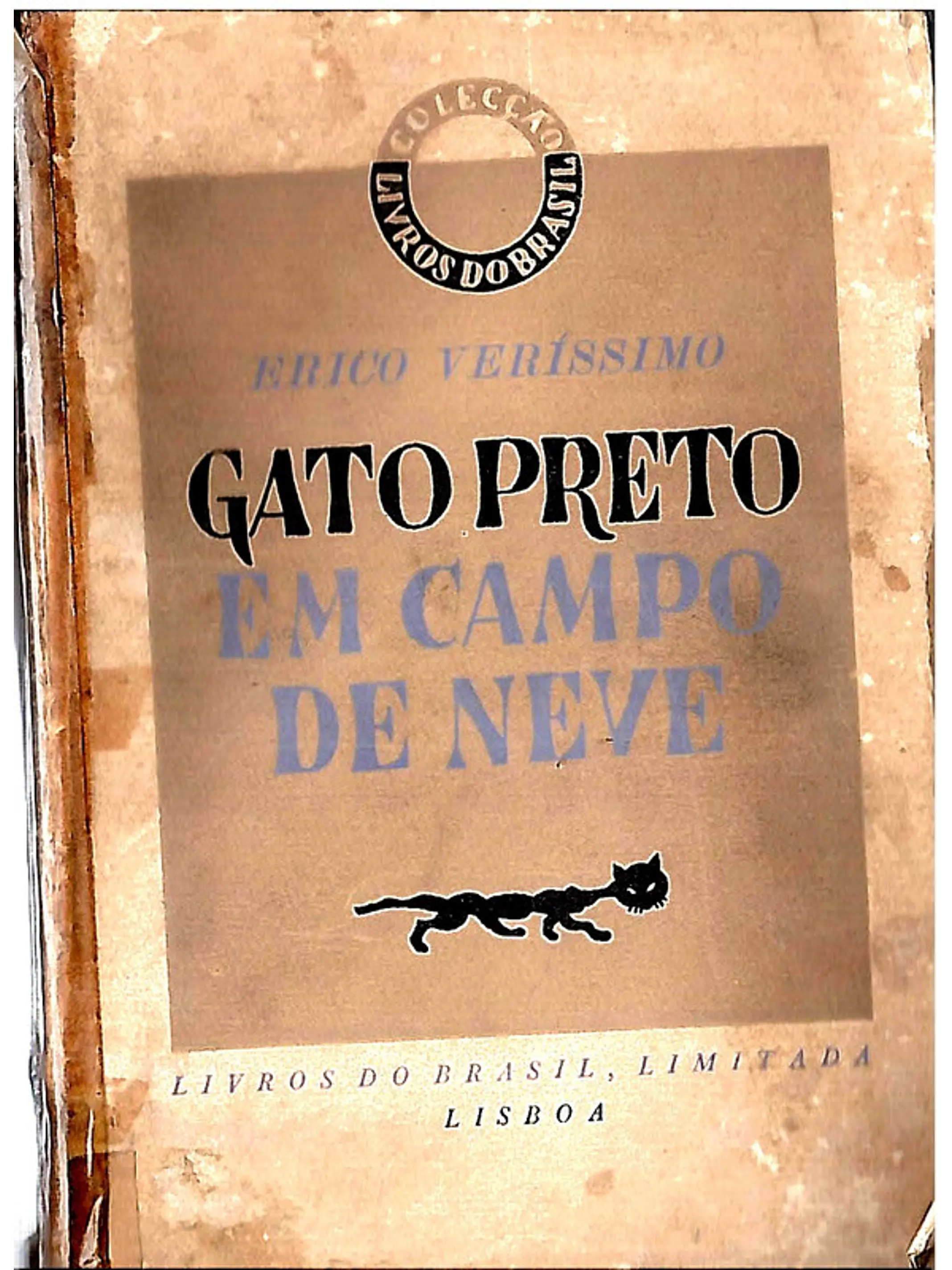 Gato preto em campo de neve 1