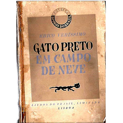 Gato preto em campo de neve