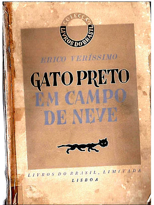 Gato preto em campo de neve