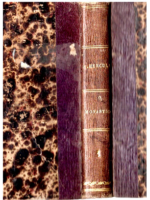 O Monasticon - volume 1