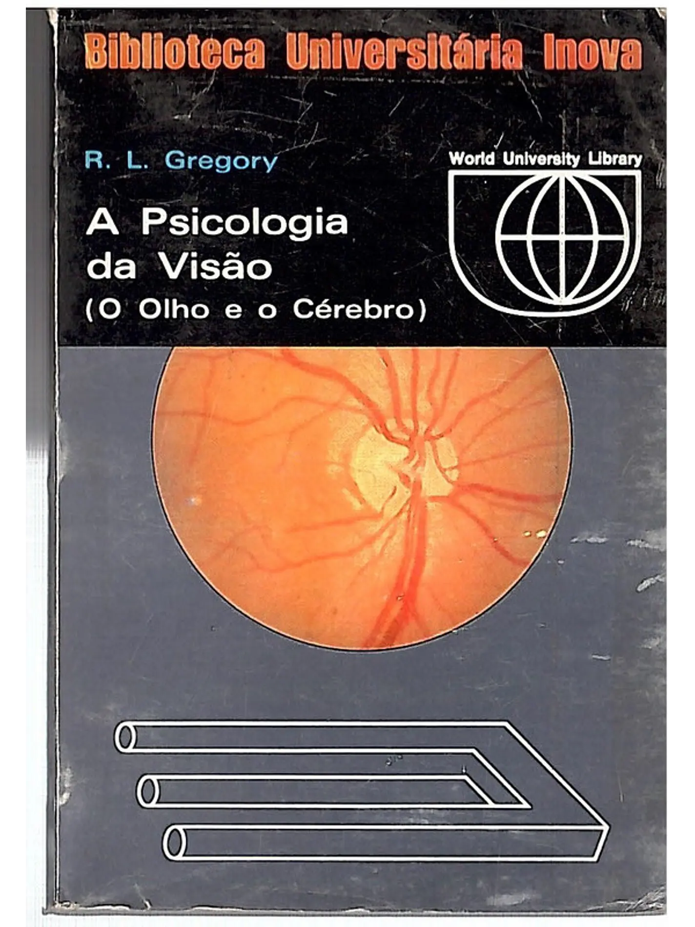 A psicologia da visão 1