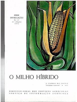 O milho hibrido