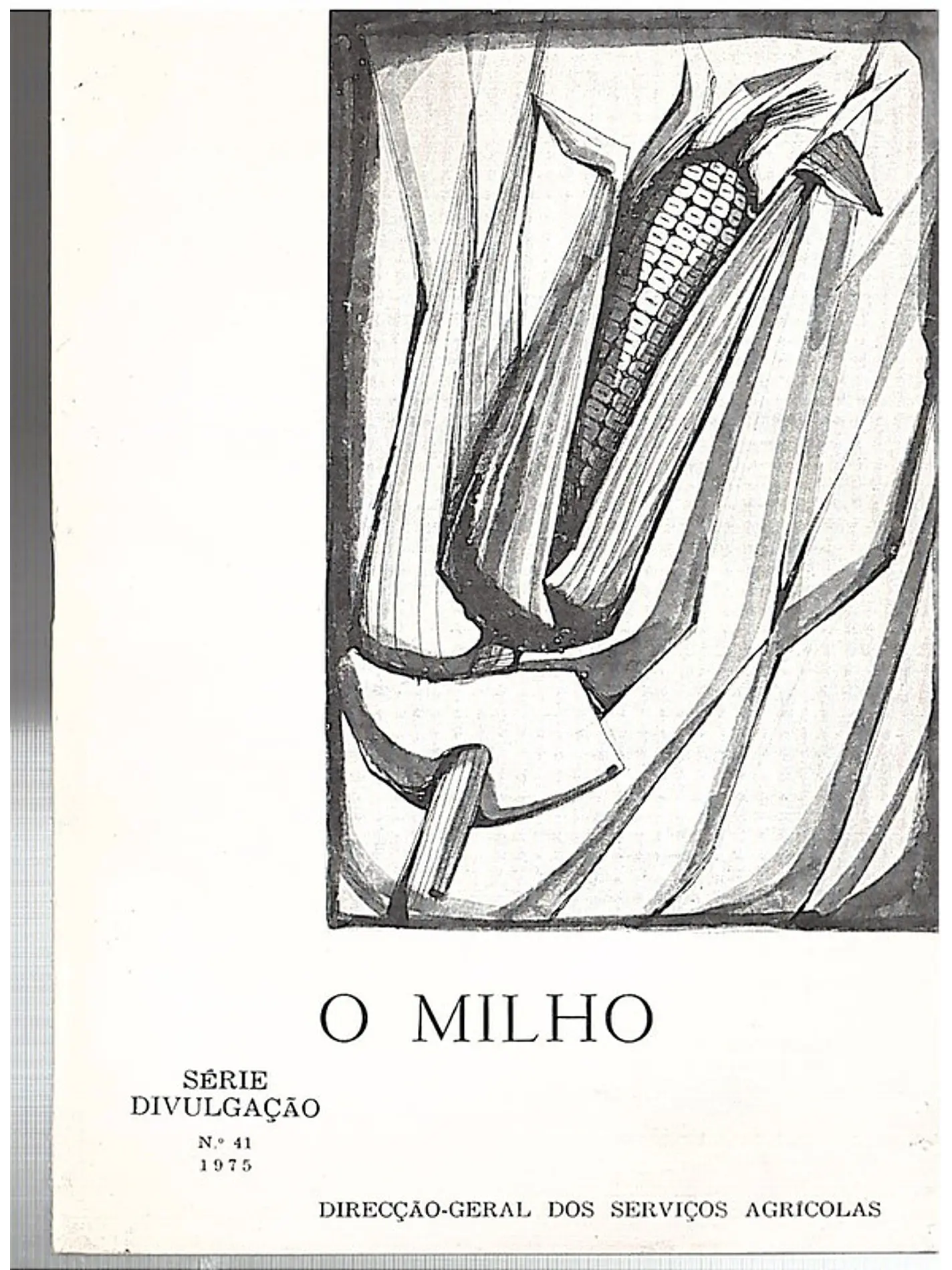 O milho 1