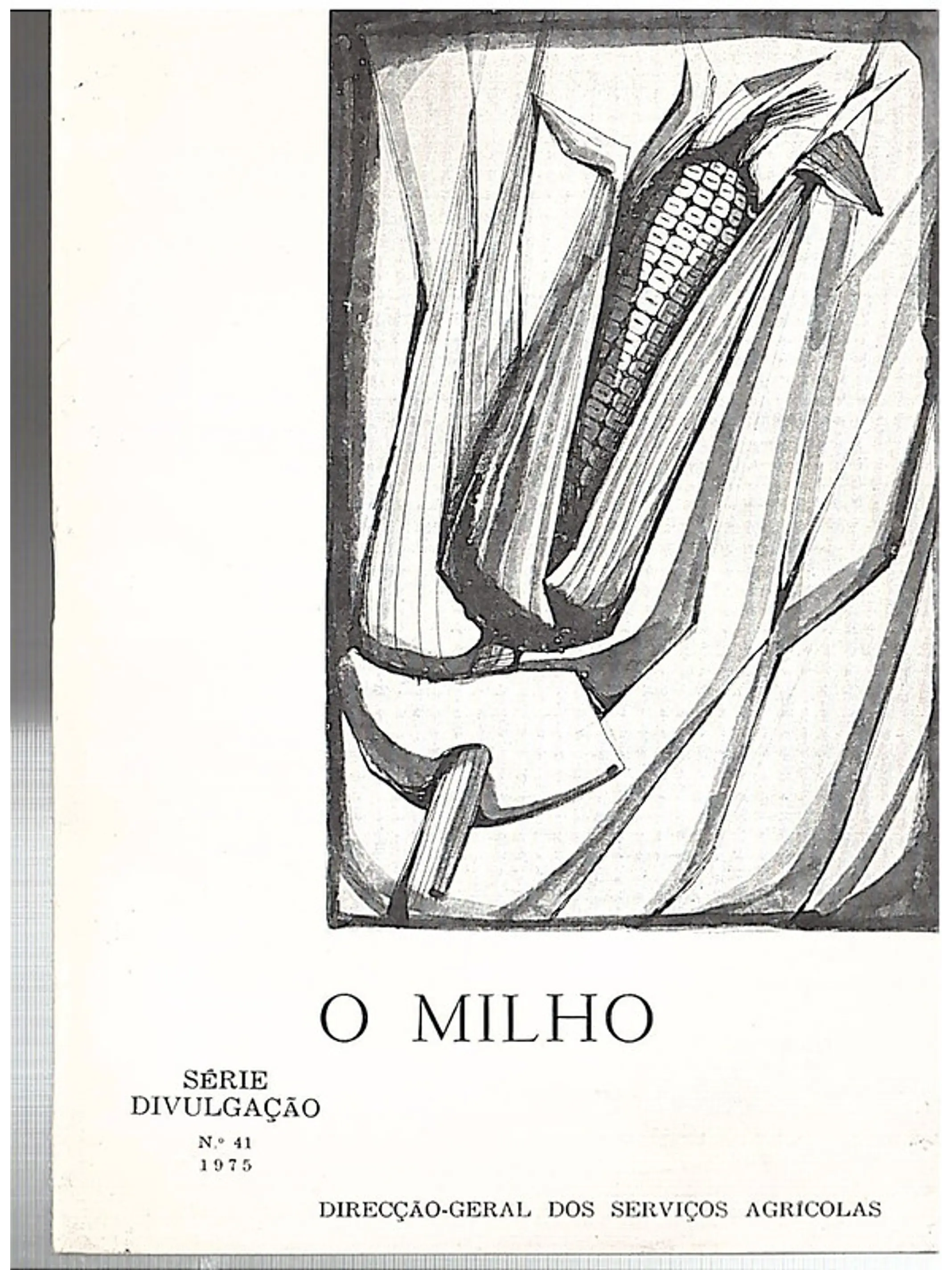 O milho 1