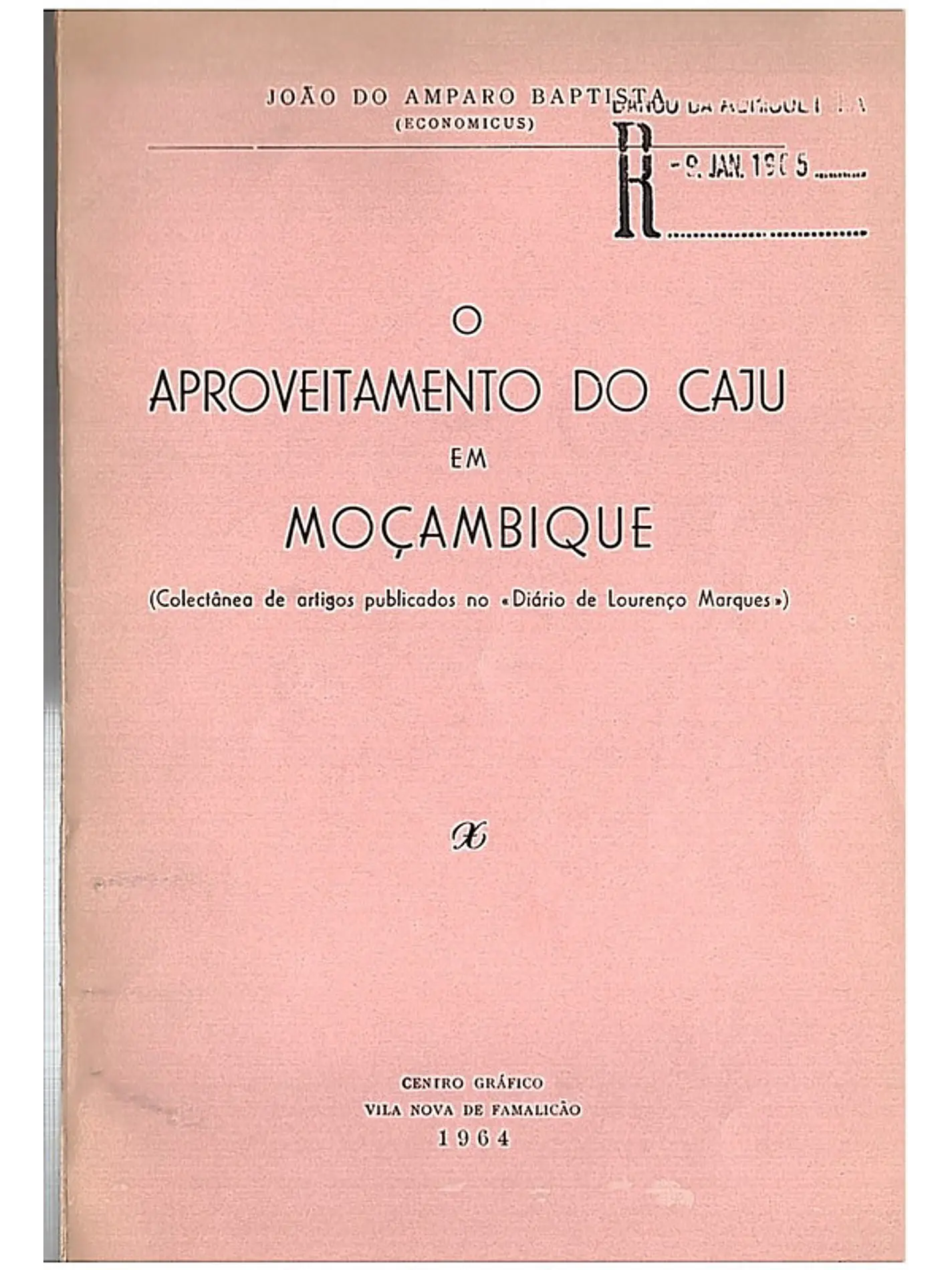 O aproveitamento do caju em Moçambique 1