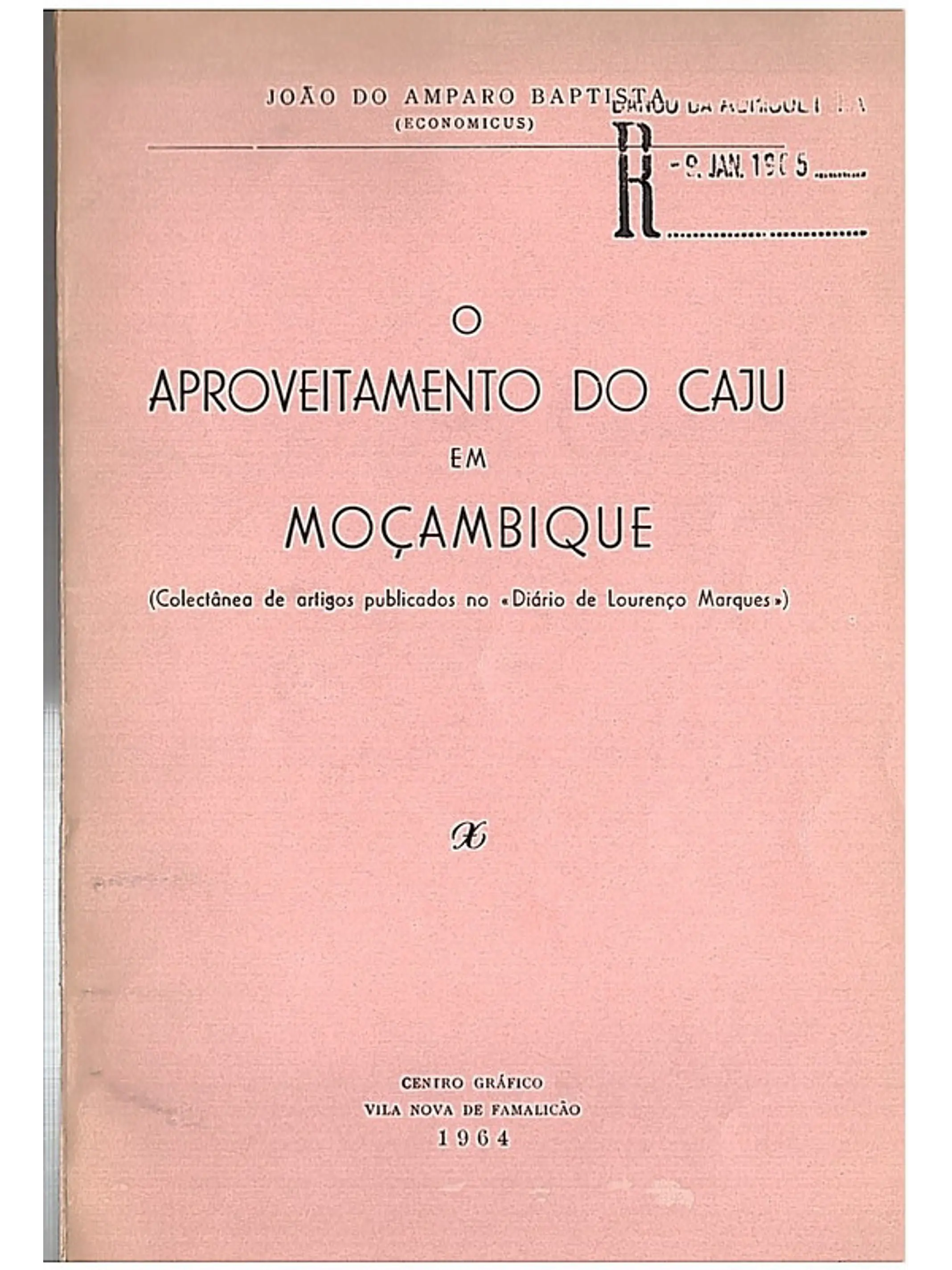 O aproveitamento do caju em Moçambique 1