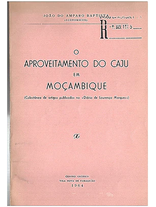 O aproveitamento do caju em Moçambique