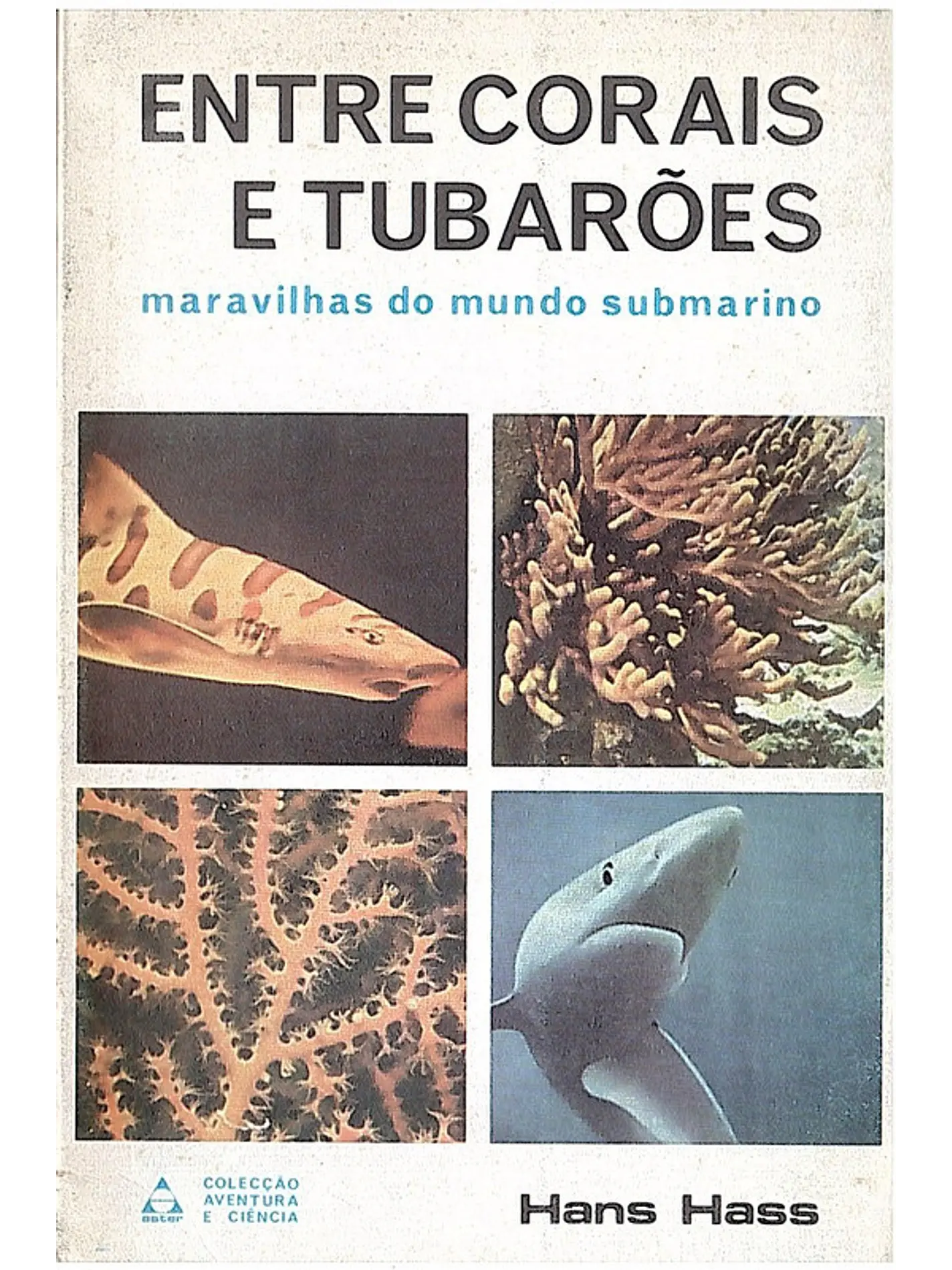 Entre corais e tubarões 1
