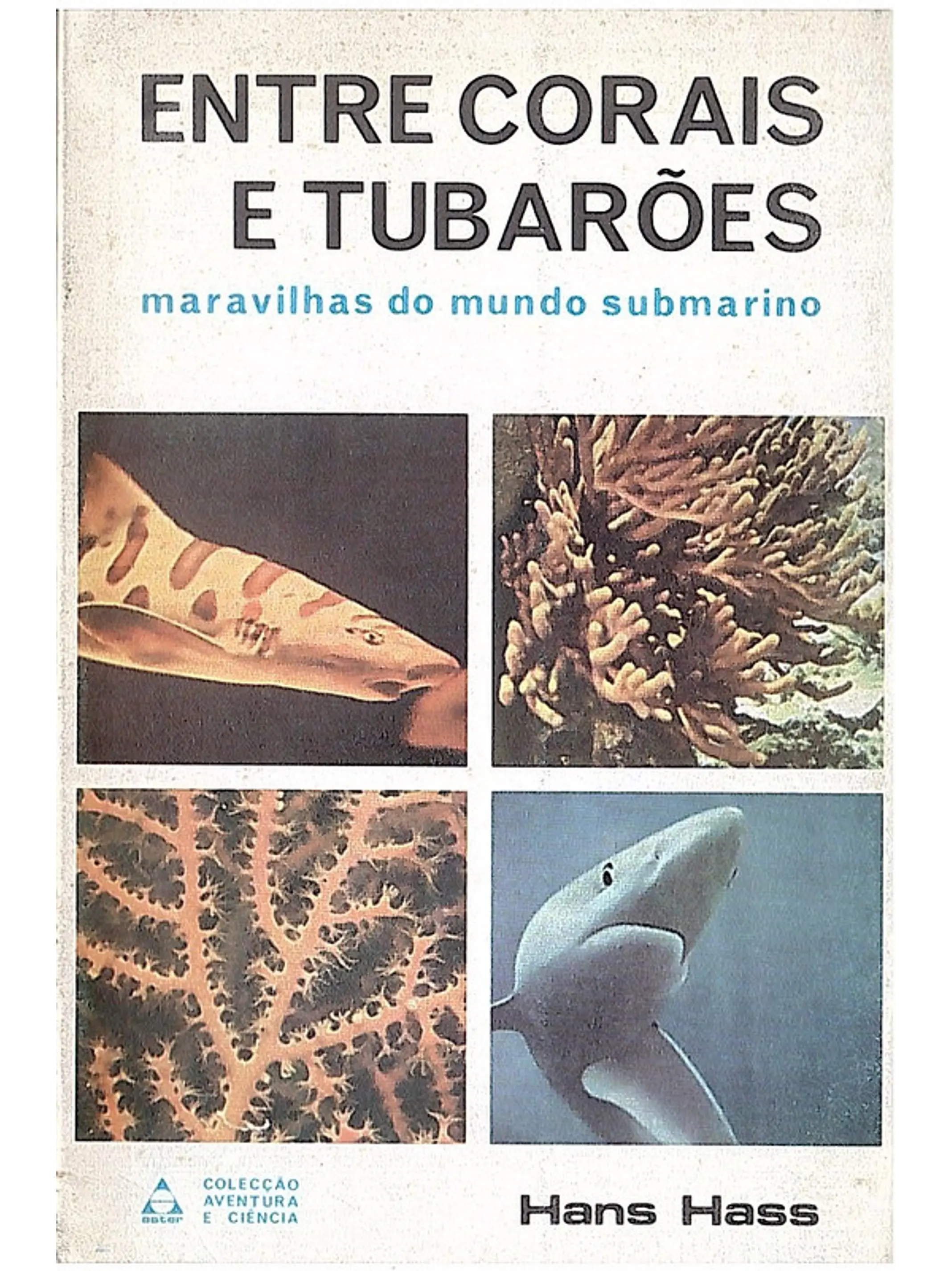 Entre corais e tubarões 1