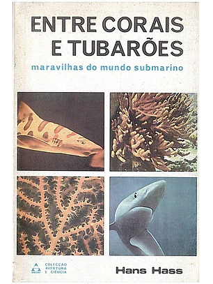 Entre corais e tubarões