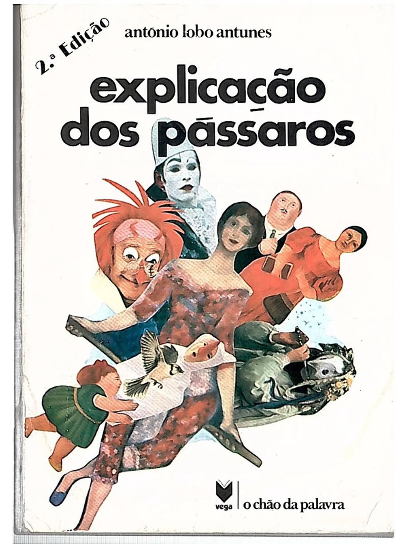 Explicação dos pássaros 1