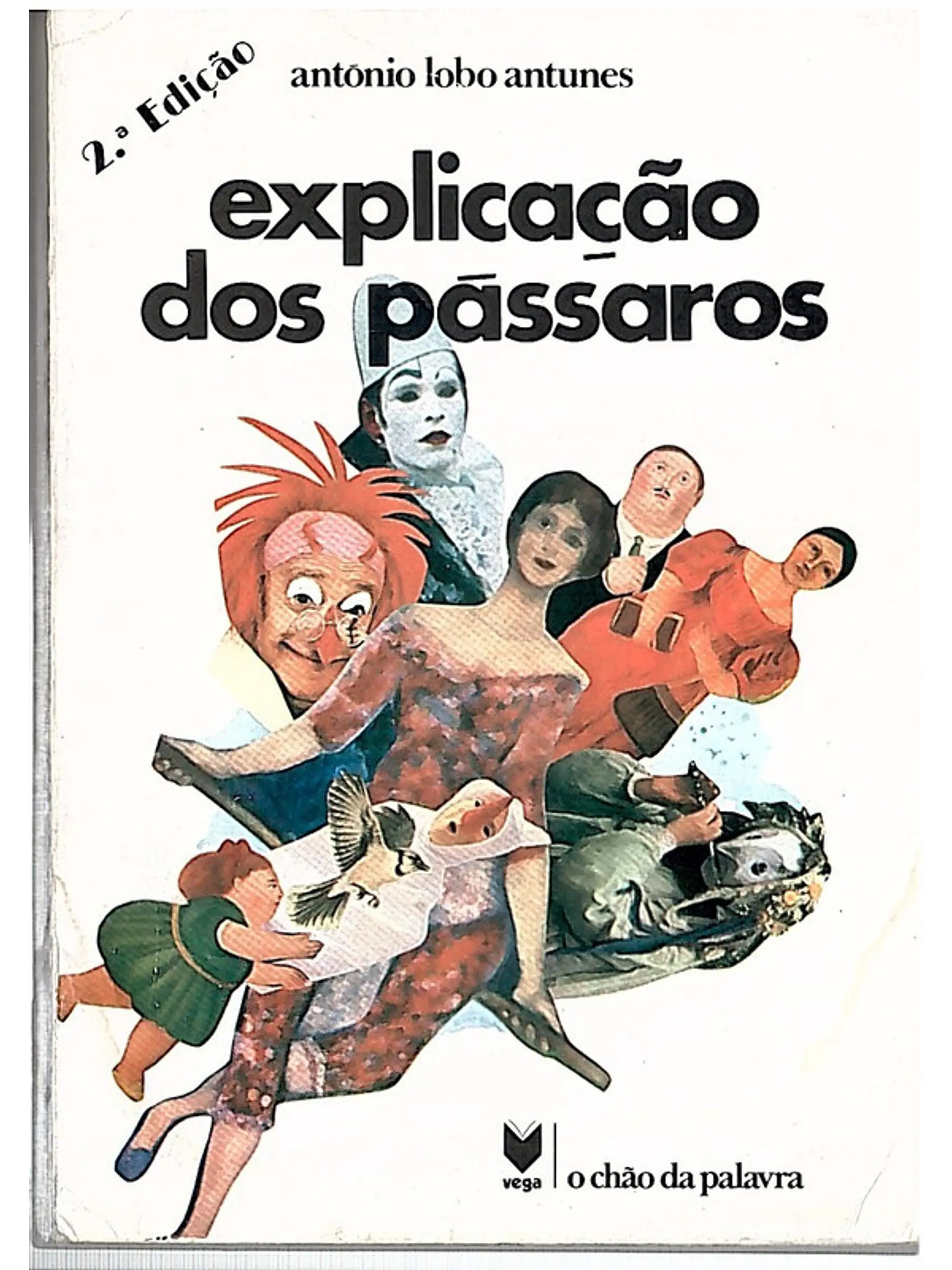 Explicação dos pássaros 1