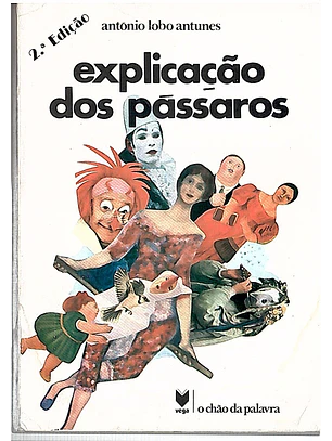 Explicação dos pássaros
