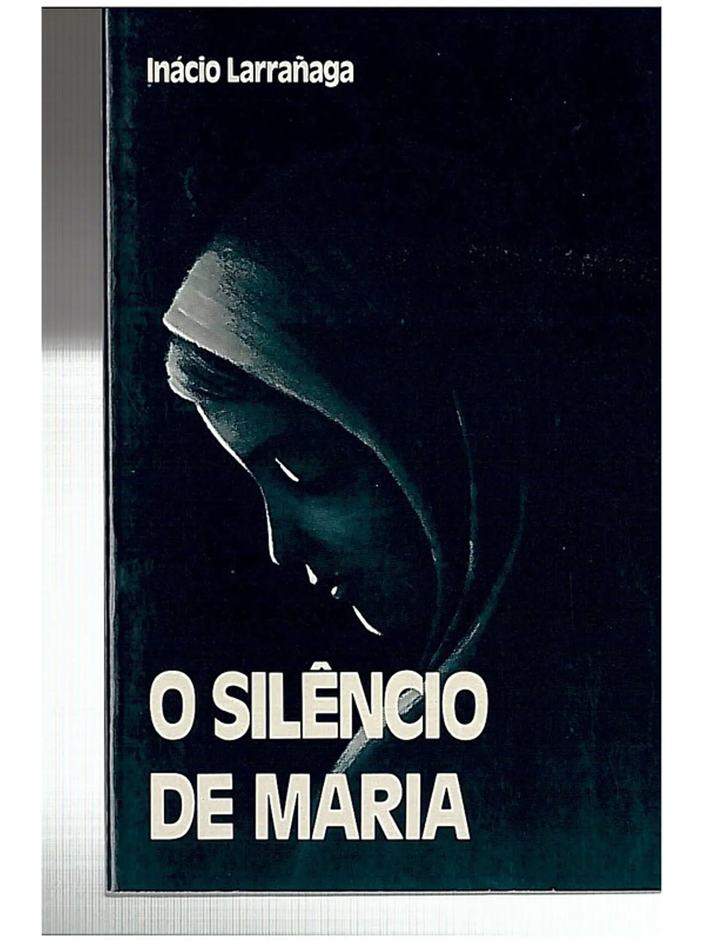 O silêncio de Maria 1