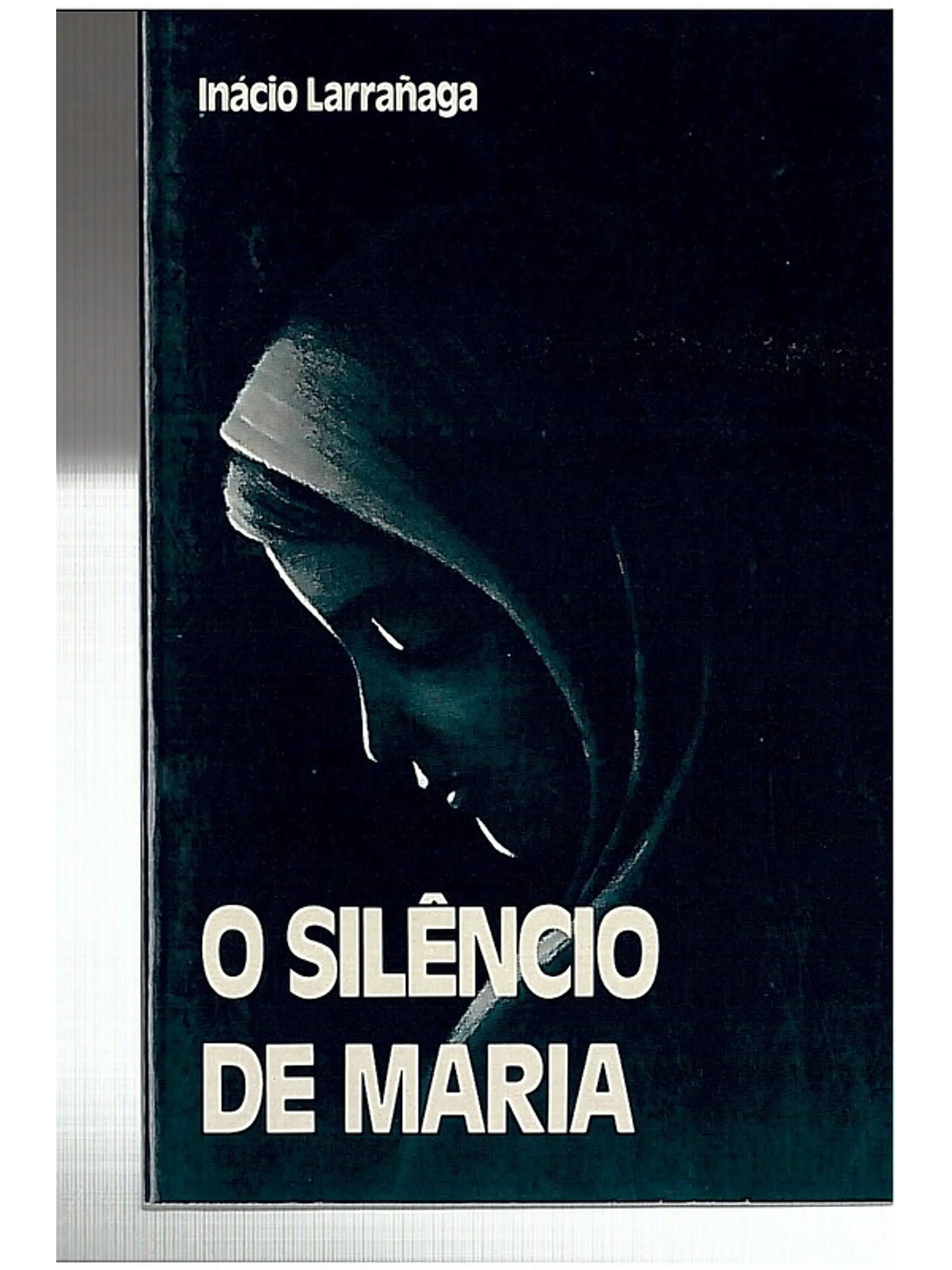 O silêncio de Maria 1