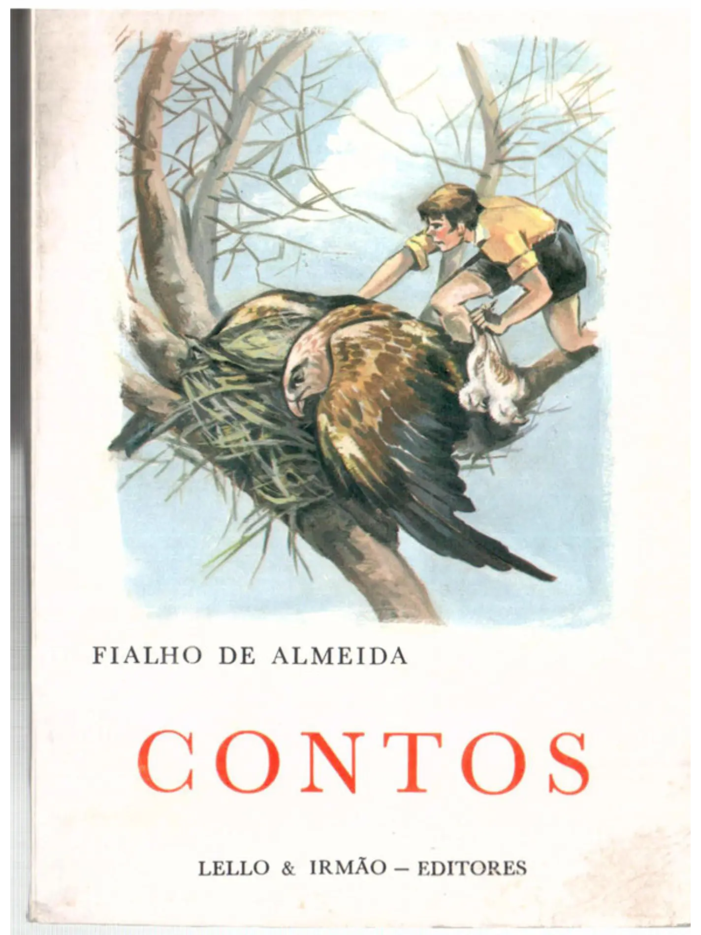 Contos 1