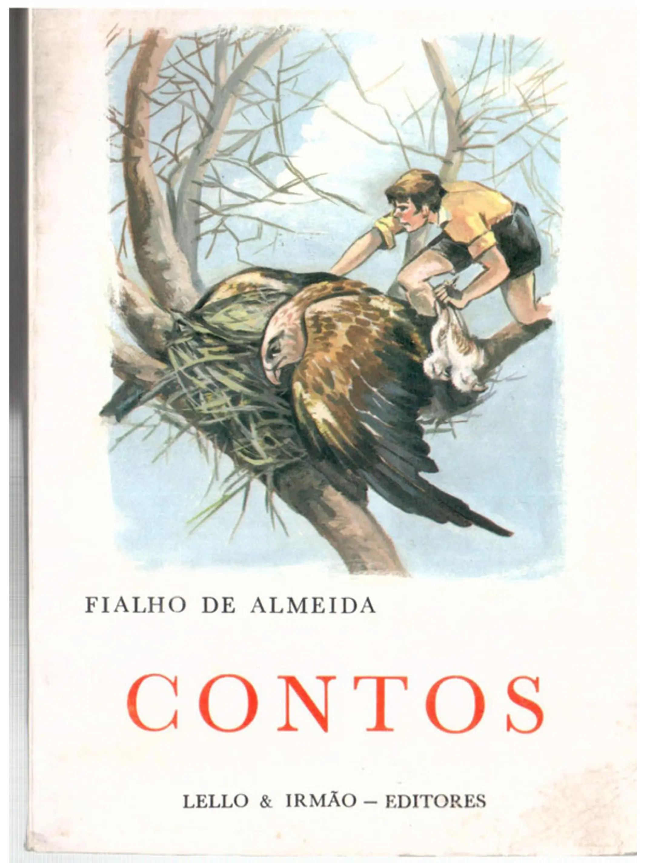 Contos 1