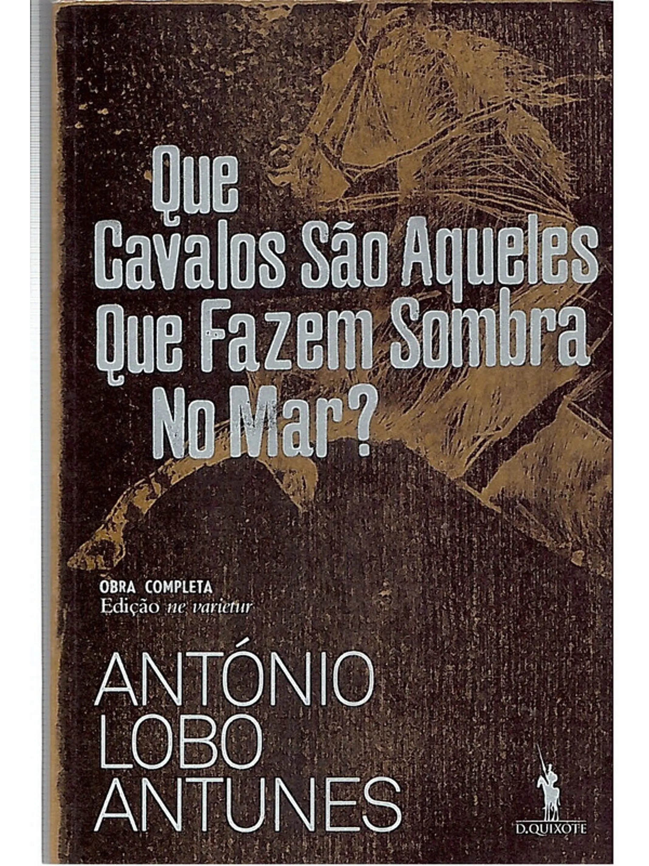 Que cavalos são aqueles que fazem sombra no mar? 1