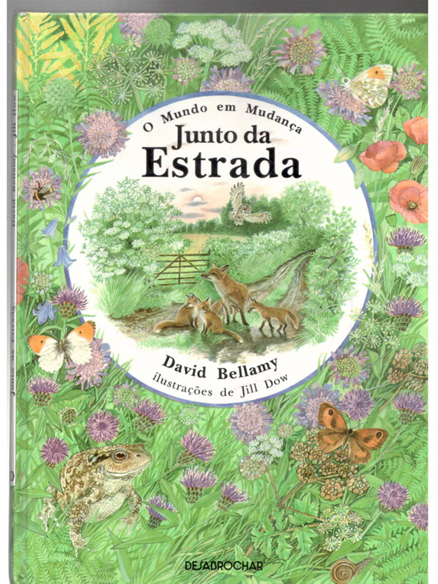 O mundo em mudança junto da estrada 1