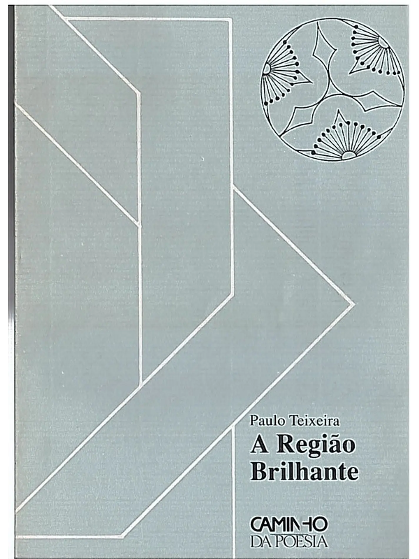 A região brilhante 1