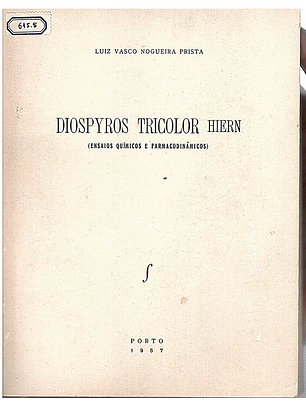 Diospyros tricolor Hiern (dissertação)