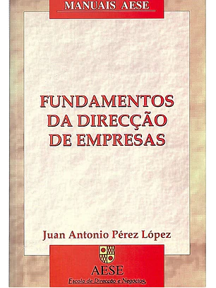 Fundamentos da direcção de empresas