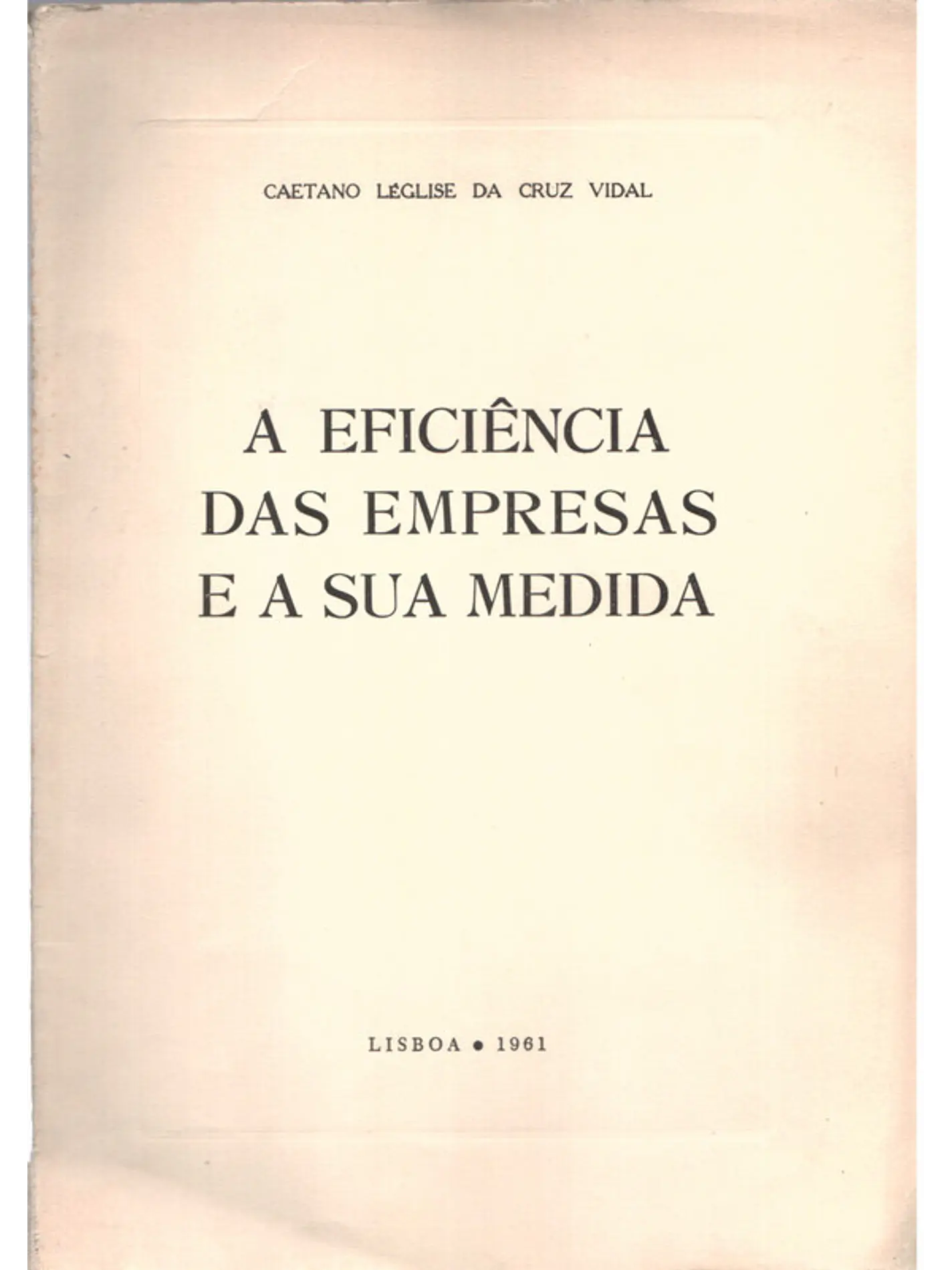 A eficiência das empresas e a sua medida 1