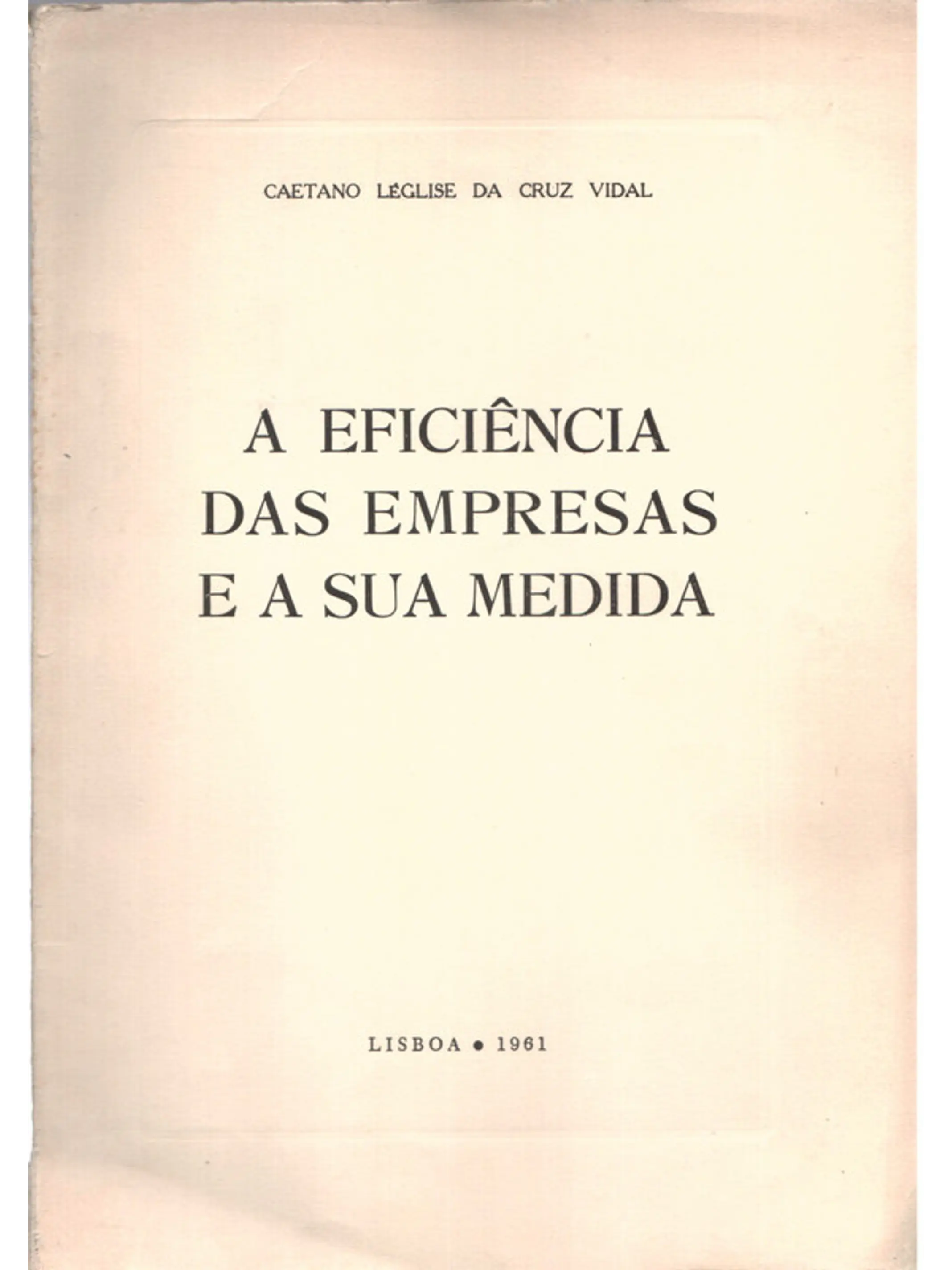 A eficiência das empresas e a sua medida 1