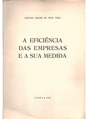 A eficiência das empresas e a sua medida