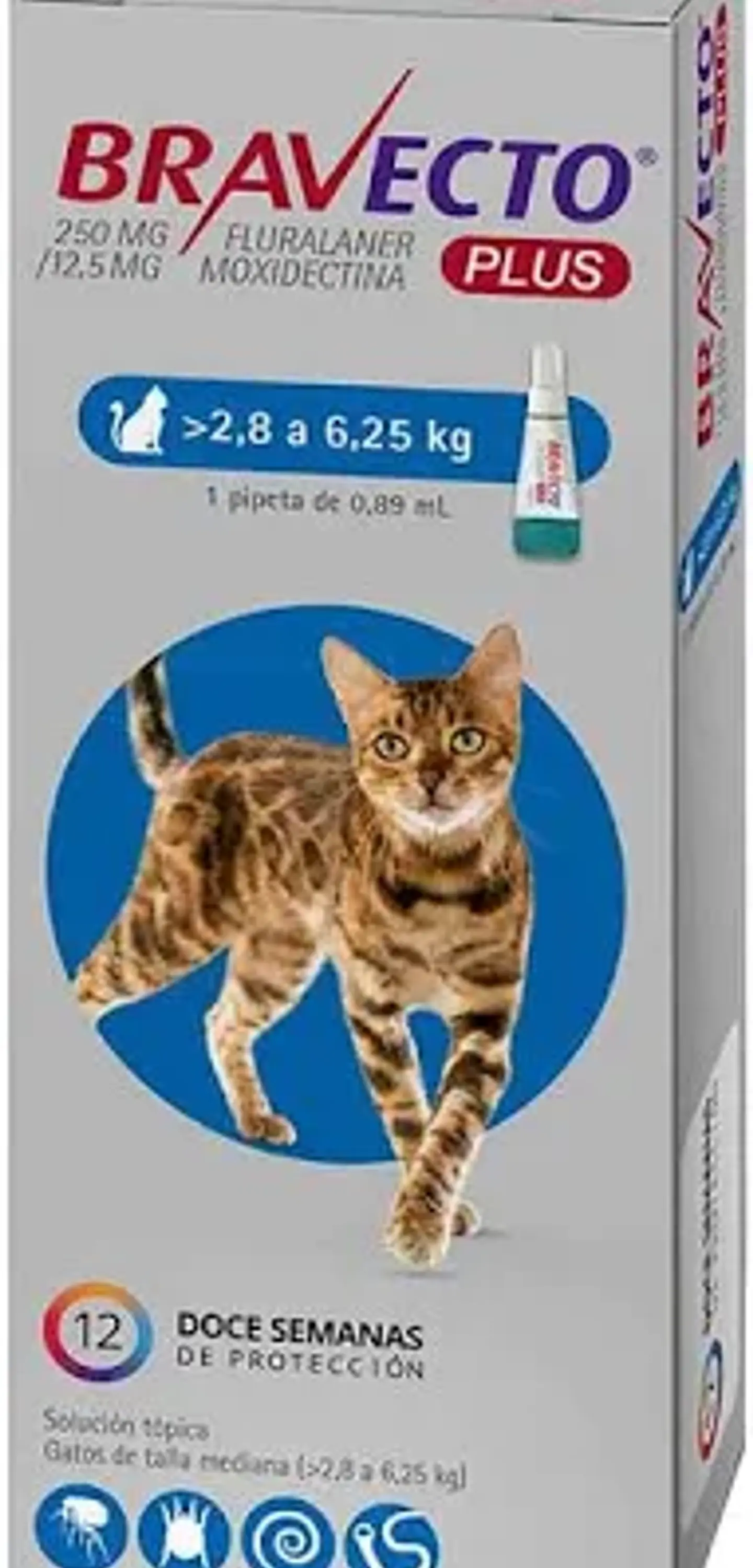 BRAVECTO TRATAMIENTO ANTIPARASITARIO INTERNO Y EXTERNO GATO 2,8 A 6,5KG 1