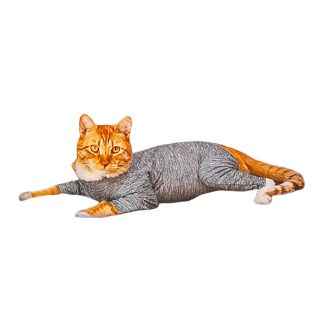 BODY AJUSTABLE POST QUIRURGICO PARA GATO CON PATITAS NANOCOBRE