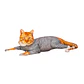 BODY AJUSTABLE POST QUIRURGICO PARA GATO CON PATITAS NANOCOBRE - Miniatura 2
