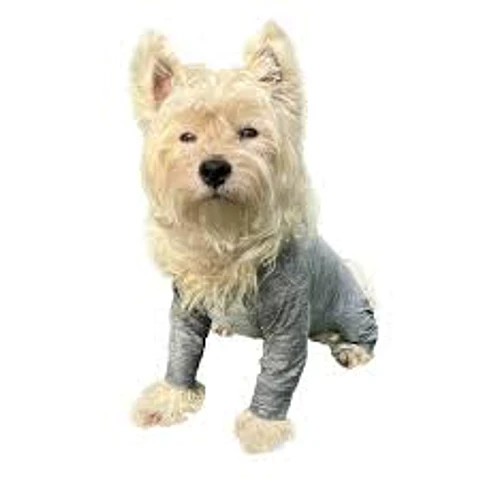 BODY AJUSTABLE POST QUIRURGICO PARA PERRO / BODY CON PATITAS NANOCOBRE