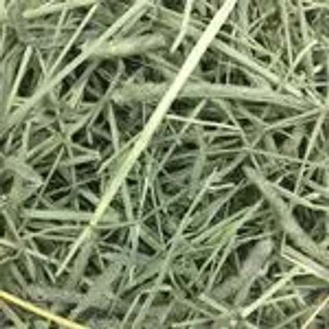 HENO WESTERN TIMOTHY CONEJO 425 GR
