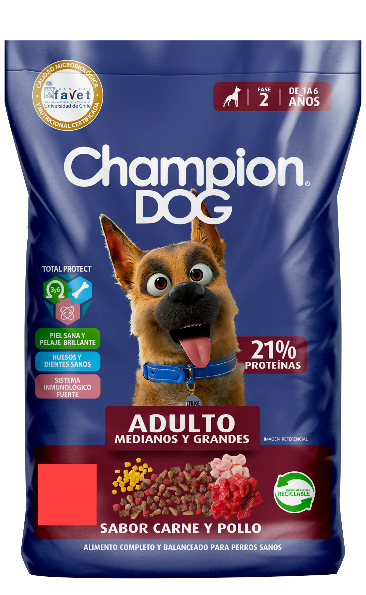 CHAMPION DOG ADULTO 18KG 1