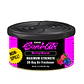 LATAS SANI AIR AROMAS PARA AUTO - Miniatura 5