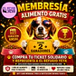 MEMBRESIA PARA UN AÑO DE ALIMENTO PARA PERRO O GATO (INSTITUCIONES) - Miniatura 1
