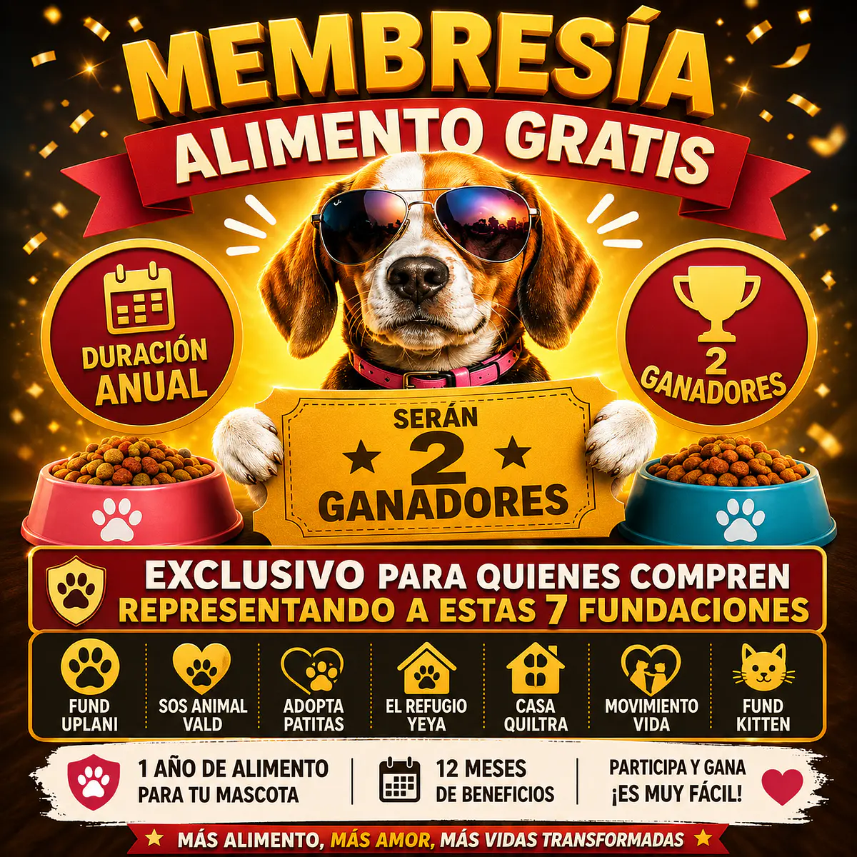 APOYA UNA INSTITUCION