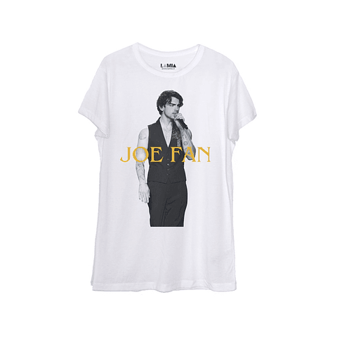 Joe Fan - Jonas Brothers #3