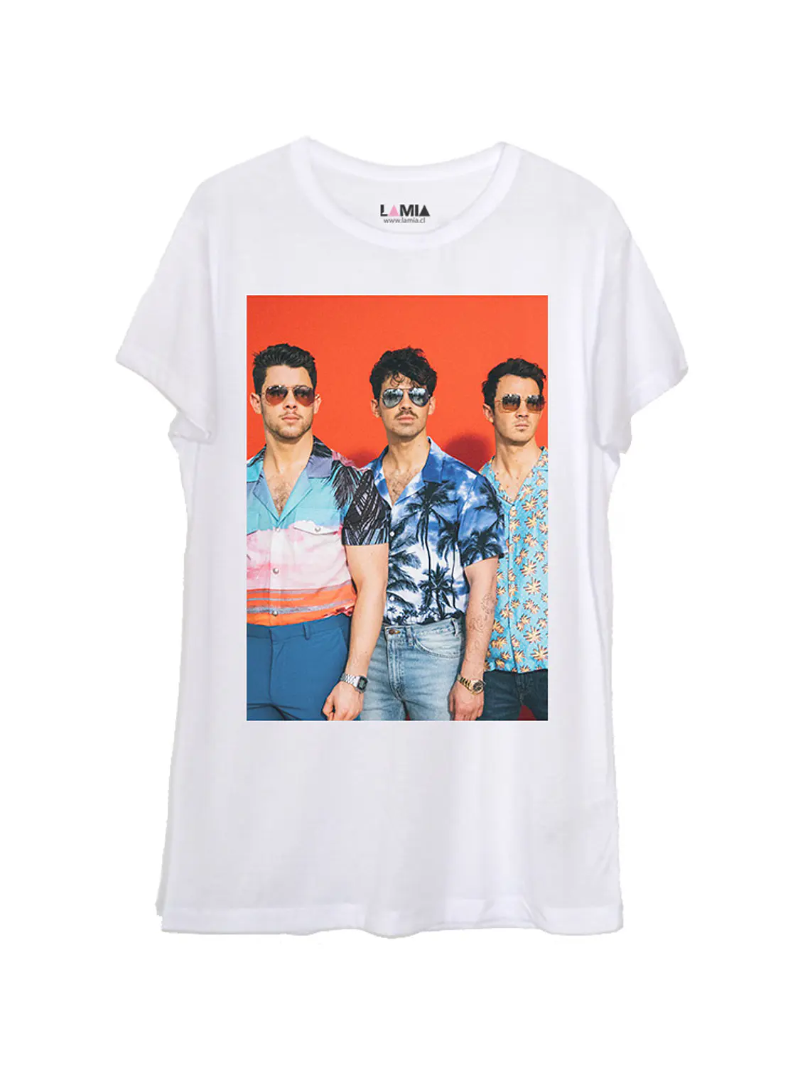 Jonas Brothers #14 1