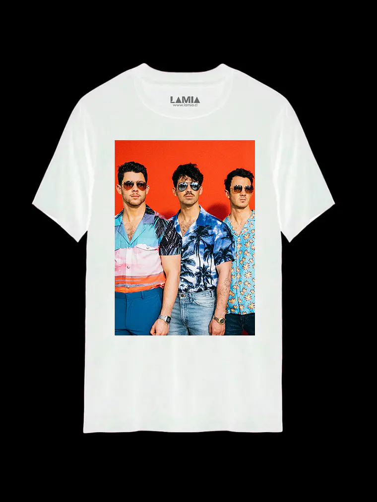 Polera Jonas Brothers Línea Premium #14 2