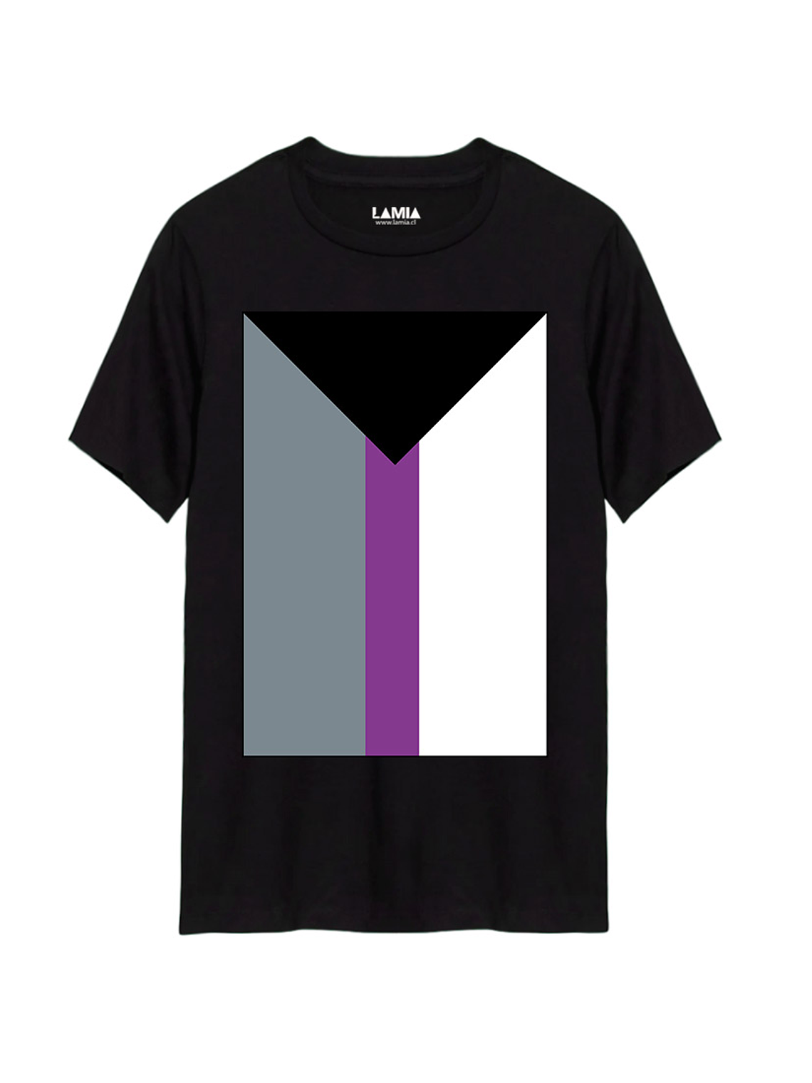 Polera Bandera Demisexual Línea Premium #1 1